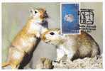 Hong Kong 2011 Twelve Animals Of The Lunar New Year Cycle Stamp Sheetlet -- Rat Self-made Maxicard (Carte Maximum) - Año Nuevo Chino