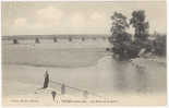 CPA MAUVES - LES BORDS DE LA LOIRE - Mauves-sur-Loire