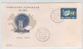 Iceland Special Cover UN 25th Anniversary With Cachet Reykjavik 24-10-1970 - Storia Postale