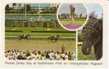 Florida Derby Day Gulfstream Park Horse Race Racing Track On C1960s(?) Vintage Postcard - Reitsport