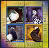 ROUMANIE 2005, PIGEONS, Feuillet De 4 Valeurs, Neufs / Mint. R1219 - Tauben & Flughühner