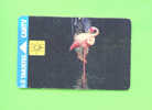 VENEZUELA - Chip Phonecard/Flamingo - Venezuela