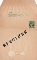 JAMAICA - VICTORIA - ENTIER POSTAL - BANDE JOURNAL SPECIMEN RARE - (WRAPPER For NEWSPAPERS) - Giamaica (...-1961)