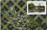 White Heather & Tartan Background - Abbotsford  - Roxburghshire - The Borders - SCOTLAND - Roxburghshire