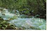 ETATS UNIS White Foam Of Spring In The Roaring Branch Flowing Into The Battenkill River At ARLINGTON Vermont Cp Couleur - Altri & Non Classificati