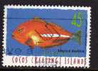 COCOS ISLANDS 1996 Poisson Fish Yv 332 OBL - Cocos (Keeling) Islands