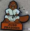 JUDO PRADINES - CASTOR - PAYS DE CAHORS -                         (22) - Judo