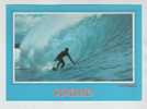 USA Postcard PIPELINE Surf Hawaii Sent To Germany Honolulu 21-11-1983 - Honolulu