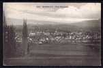 CPA  ANCIENNE- FRANCE- RUMILLY (74)- VUE GENERALE DU BOURG EN GROS PLAN- CULTURES DEVANT- FERMES A L'ARRIERE- - Rumilly