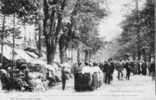 CPA - 31 - LUCHON - La Fête Des Fleurs Sur L'allée D'Etigny, Avant Le Défilé Des Voitures - 471 - Luchon