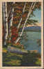 USA-Postcard 1940-  Kezar Falls- Lake - 2/scans - Other & Unclassified