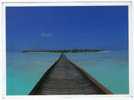 MALDIVES - DHIGUFINOLHU ISLAND RESORT / THEMATIC STAMPS BIRD - Maldive