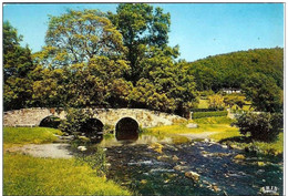 VRESSE SUR SEMOIS PONT SAINT LAMBERT - Vresse-sur-Semois