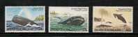 Norfolk Island 1997 Whales MNH - Baleines