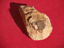 - SILEX TAILLE . FRANCE SUD-OUEST - Archeologie