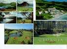 (120) Golf Course - Golf Et Terrain De Golf - Golf