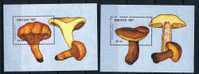 Bhoutan ** Blocs N° 179/180 - Champignons (lot 16) (19 P17) - Bhoutan