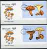 Bhoutan Ob Blocs N° 179/180 - 2 Env. 1er Jour - Champignons (lot 17) (19 P17) - Bhutan