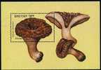 Bhoutan ** Bloc N° 260 - Champignons (lot 30) (19 P24) - Bhutan