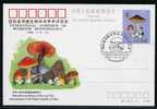 Chine Ob  Entier - Année 1989 - Champignons  (lot 7) (19 P32) - Unused Stamps