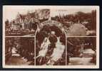 RB 698 - Early Real Photo Multiview Postcard Rouken Glen Glasgow Scotland - Lanarkshire / Glasgow