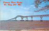 Potomac River Bridge- Carte Neuve- Ed Dexter Press N° 18143 B - Andere & Zonder Classificatie