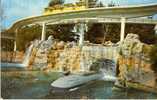 Submarine Voyage - Ed Tomorrowland **Neuve** - Disneyland