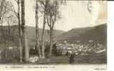 88 - VOSGES - CORNIMONT - Vue à Travers Les Arbres - Animée -  Format  8,9 X 13,8 - Timbre Arraché - Cornimont