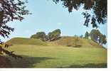 ETATS UNIS Etowah Indian Mounds CARTERSVILLE Cp Couleur - Other & Unclassified