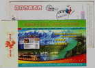 Swan Birds Lake,desert Camel,website,CN05 Xinjiang Autonomous Region New Year Greeting Postal Stationery Card - Swans
