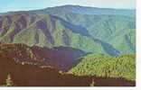 ETATS UNIS CLINGMANS DOME Highest Peak In The Great Mountains National Park Cp Couleur - Autres & Non Classés