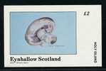 Eynhallow ** Bloc 1982 ND - Champignons (lot 9) (20 P43) - Fantasy Labels