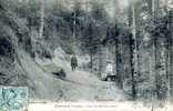 CPA - Senones (88) - Sur Le Sentier Picot - Vosges - Marcheur - Senones