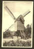 Carte Postale " Kasterlee " Oude Standaardmolen - Kasterlee