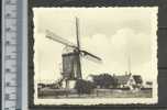 HARELBEKE -  WINDMOLEN - MOLEN -MOULIN - MILL - MÜHLE - MOLINO - CHROMO DE BEUKELAAR CICHOREI - De Beukelaer