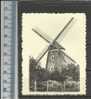 HAMME A: DURME - OUDE MOLEN DE VOS - MOLEN -MOULIN - MILL - MÜHLE - MOLINO - CHROMO DE BEUKELAAR CICHOREI - De Beukelaer