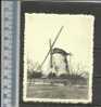 HEKELGEM - WINDMOLEN - MOLEN - MOULIN - MILL - MÜHLE - MOLINO - CHROMO DE BEUKELAAR CICHOREI - De Beukelaer