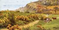 Shanklin  Path To The Landslip - Sonstige & Ohne Zuordnung