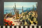 EZE LE JARDIN EXOTIQUE ET LE PANORAMA SUR LE CAP FERRAT LA BAIE DES ANGES ET L'ESTEREL CACTUS - Eze