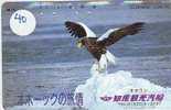 Telefonkarte  JAPAN * Telecarte JAPON *  OISEAU EAGLE  (40) AIGLE * Bird Phonecard  * Vogel *  ADLER * AGUILA - Águilas & Aves De Presa