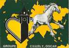 Boulogne Sur Mer-cheval Boulonnais-carte De QSL-cote D'opale-cpm - CB-Funk