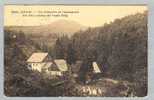 Sa BAD SCHANDAU Krippengrund 1924-06-05 Foto M.Köhler #1789 - Bad Schandau