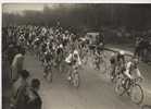 431 - PHOTO  - 1953 - Paris - Roubaix - Les Concurents En Haut De La Cote De Luzarche - - Radsport