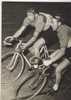 432 - PHOTO  - 1954 - Le Critérium D'Europe à L'américaine - Voir Le Résumé - - Cyclisme
