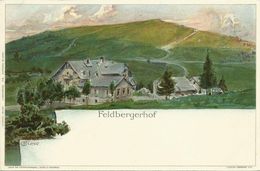 AK Feldberg Feldberger Hof Farblitho Biese ~1900 #04 - Feldberg