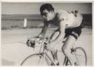 460 - PHOTO  - A Identifier - - Cyclisme