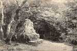 14789     Regno  Unito,   Isle Of  Wight,  Stone  Seat,  The  Land  Slip,  VG  1907 - Andere & Zonder Classificatie