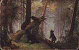 Russia - Old Postcard Unused- Bears In The Fir Forest - 2/scans - Beren