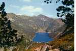 65--Les PYRENEES--CPSM--Lac D' Orédon - Vielle Aure