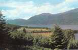 14880  Regno  Unito,    Loch  Ness  From  Above  Foyers,  VG  1980 - Inverness-shire